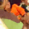 39294 1 2 thumb