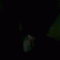 717 1 thumb